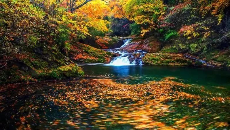 10月1日，漢中黎坪景區(qū)秋高氣爽、景色秀美，還不擁擠，趕緊出發(fā)嘍！