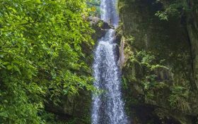 大霧黃色預(yù)警！漢中這些地方能見度低→縮略圖