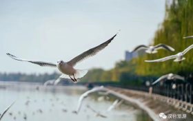 奔赴漢臺(tái)，來(lái)場(chǎng)暖冬之旅！縮略圖