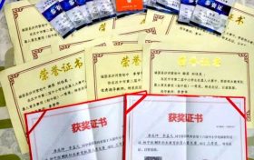 優(yōu)秀！城固縣兩名學生喜獲世界機器人大賽國賽二等獎 →縮略圖