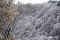 雨雪天氣今晚就到！安全防御指南請(qǐng)收好→縮略圖