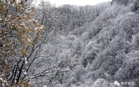 雨雪天氣今晚就到！安全防御指南請(qǐng)收好→縮略圖