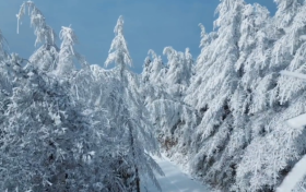 預(yù)計1月11日-26日 陜西有兩次雨雪降溫過程縮略圖
