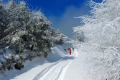 一場(chǎng)浪漫冬雪，讓鎮(zhèn)巴美出圈！縮略圖