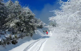 一場(chǎng)浪漫冬雪，讓鎮(zhèn)巴美出圈！縮略圖