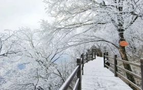 龍頭山今日又下雪啦，每一幀都是“限定浪漫”！縮略圖
