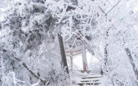 賞雪時(shí)節(jié)已至，漢江源邀您感受白色浪漫！縮略圖