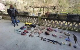 非法捕鹿欲牟利 賠償巨款入監(jiān)牢縮略圖