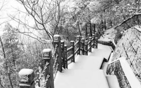 冷?冷?冷?，最低零下 6 ℃ ，漢臺迎來新一輪降溫降雪，詳情→縮略圖