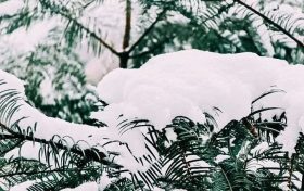 漢中，下雪啦！縮略圖