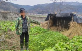 鎮(zhèn)巴公安：“雞”不可失，“盜”此為止縮略圖