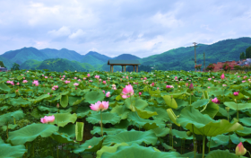 即將啟用監(jiān)控設(shè)備！設(shè)置地點(diǎn)→縮略圖