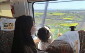坐著高鐵穿花海！這趟列車(chē)太“治愈”了！縮略圖
