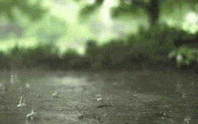 受短波槽東移影響，16-17日我省中南部有降水天氣??縮略圖