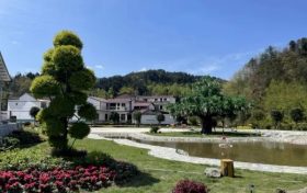 寧強(qiáng)縣舒家壩鎮(zhèn)壯大村級集體經(jīng)濟(jì)助力鄉(xiāng)村振興縮略圖