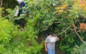 行人為走捷徑欲橫穿高速，漢中高速交警及時(shí)勸離縮略圖