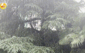 未來三天，陜西有強(qiáng)降水天氣過程，局地短時暴雨，具體預(yù)報→縮略圖