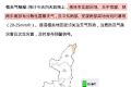 強降雨天氣持續(xù)！局地大到暴雨！這些一定要做到→縮略圖