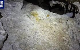 國內(nèi)罕見！陜西漢中發(fā)現(xiàn)完整度較高的大熊貓化石縮略圖