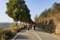 1月5日，漢中氣象發(fā)布大霧黃色預(yù)警信號(hào)縮略圖