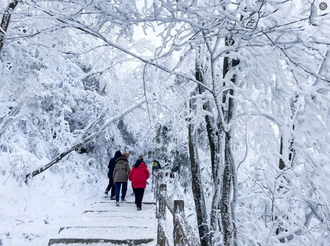 2024漢江源冰雪旅游季抖音大賽等你來挑戰(zhàn)！