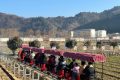 開門紅！全縣首輛！鱘游佛坪“熊貓?zhí)枴毙』疖囌竭\(yùn)行→縮略圖