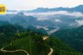 鎮(zhèn)巴楮溪源：山川之美創(chuàng)4A，茶旅融合新畫卷縮略圖