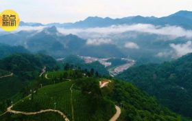 鎮(zhèn)巴楮溪源：山川之美創(chuàng)4A，茶旅融合新畫卷縮略圖