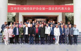 漢中市紅嘴鷗保護協會成立縮略圖