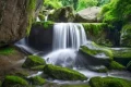 尋夢油菜花海，探秘漢江之源：三天兩晚奇遇之旅縮略圖