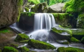 尋夢(mèng)油菜花海，探秘漢江之源：三天兩晚奇遇之旅縮略圖