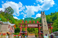 邂逅春日秘境 |漢江源景區(qū)的限定浪漫已上線縮略圖