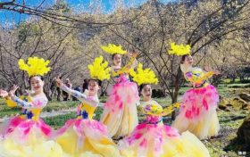 3月22日，王家灣村，茱萸花海踏春游活動(dòng)來(lái)啦！縮略圖