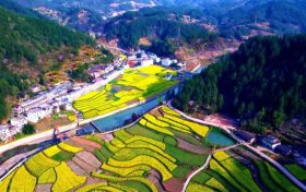 鎮(zhèn)巴簡池鎮(zhèn)李塘村：春日河畔花海，宛如水墨仙境縮略圖
