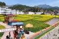 鎮(zhèn)巴春色：七色譜上的山水詩(shī)畫(huà)縮略圖