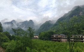 橘子吃多了為什么會變成“小黃人”？縮略圖