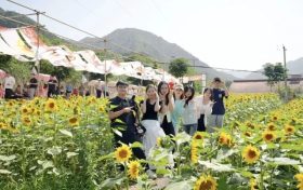 “鄉(xiāng)”聚力量·“創(chuàng)”新未來丨來留壩，給旅行加點(diǎn)“文化”料縮略圖
