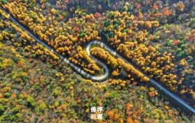 秋滿佛坪，風(fēng)光正好！踏入這抹絢爛秋色里，邂逅只屬于你的心動(dòng)時(shí)刻！縮略圖