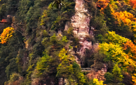 九月九，登九鼎！草川子的秋日盛宴已開席縮略圖