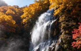 溫馨提示 | 漢江源景區(qū)云海索道檢修維護(hù)：10月29日-11月7日暫停使用縮略圖