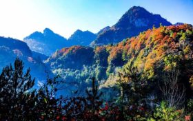 草川子生態(tài)康養(yǎng)旅游度假區(qū)今日恢復(fù)開(kāi)園，正常接待游客縮略圖