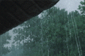 新一輪降雨，上線！縮略圖