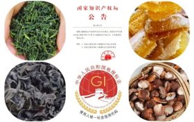 漢中新增多件國(guó)家地理標(biāo)志保護(hù)產(chǎn)品→縮略圖