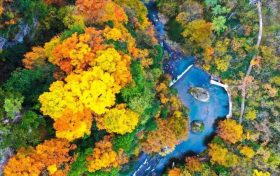 2025漢中黎坪紅葉季10月15日盛大啟幕！18日、19日免門票！縮略圖