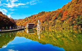 秋染漢江源：從晨曦云海到落日紅葉，每幀都是壁紙級美景縮略圖